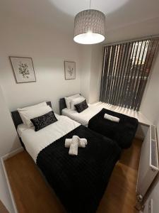 Spacious City Centre 2-Bedroom Apartment by StaySavvy Accommodation
