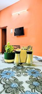 Hidden Hallow- Ameerpet