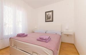 Gorgeous Apartment In Pirovac With Wifi
