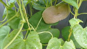 Altos del Maria -mountaine views