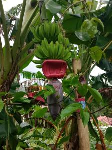 Altos del Maria -mountaine views