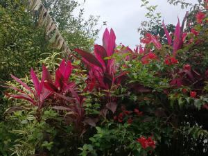 Altos del Maria -mountaine views