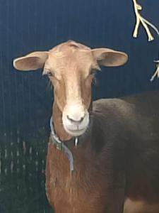 Altos del Maria -mountaine views