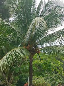 Altos del Maria -mountaine views