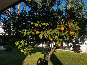 Valencian Paradise!