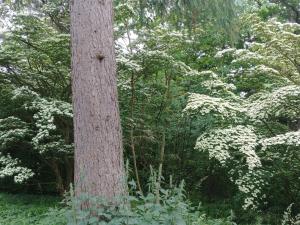 4 star holiday home in Vedbæk