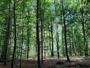 4 star holiday home in Vedbæk