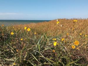 8 person holiday home in Harboøre-By Traum