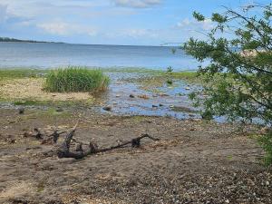 4 person holiday home in Aabenraa-By Traum