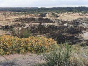 6 person holiday home in Henne-By Traum