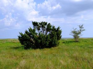 6 person holiday home in Gedser