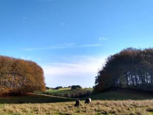 4 person holiday home in Østervrå-By Traum