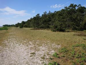 6 person holiday home in Jægerspris