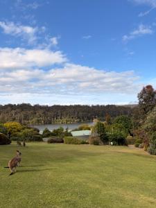 Gipsy Point Lakeside