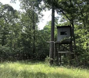 Cozy Cabin Rental near Ozark National Forest for a Relaxing Weekend Getaway in Arkansas