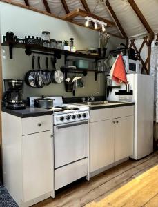 Incredible Equipped Yurt Amazing for a Glamping Experience in East Meredith, New York