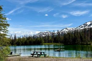 Secluded, Pet Friendly Cabin near Denali National Park with Mountain and Lake Views, Perfect for an Alaskan Escape