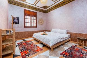 Surf Camp Land - Surf House Tamraght