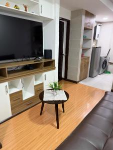 Comfortable apartment in Sopocachi