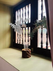 Aristobilo Aloft- Matrimonial 2