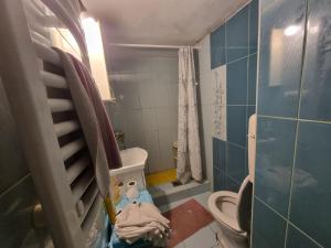 Spavaca soba s zajednickim kupatilom Ja spavam u prolaznoj dnevnoj sobi