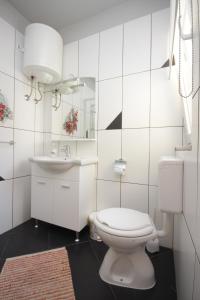 Apartments with parking space Sali, Dugi otok - 8137