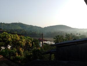 Oasis