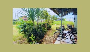 นกฮูกเฮ้าส์ ริมโขง