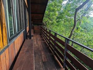 The Wild Yala