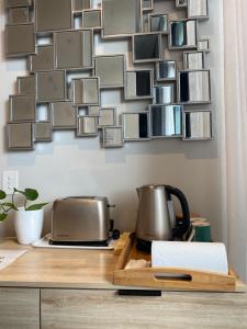 Ensuite Room with Marina View in Private Host Apartment SOLO Guest only Dogs Live on site