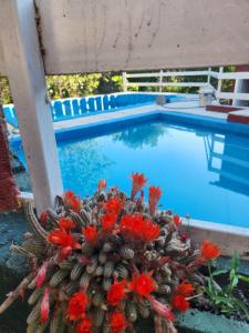 Altos de Grecia Cabaña 3