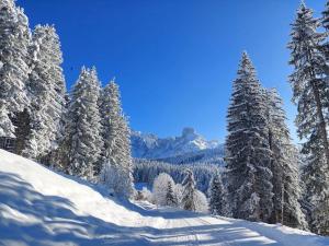 Berg-Apartment Kleinmauerreith