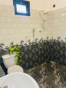 Adorable Guest House