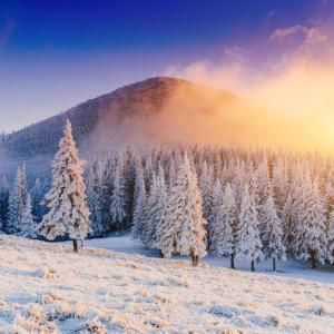 DAY DREAM HOUSE - pur si simplu minunata! Rezerva acum!