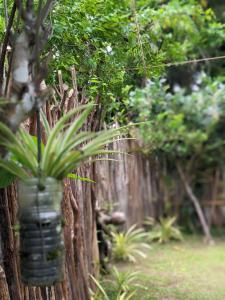 leemaz home stay