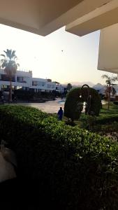 criss resort Namma Bay Sharm Elshekh