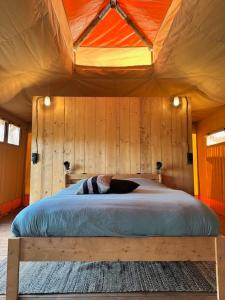 Safari Lodge at Back to Basic