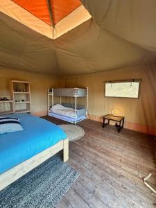 Safari Lodge at Back to Basic