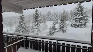 Casina Alpina sugli impianti Passo S Pellegrino
