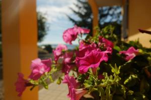 B&B Podere Ospedaletto