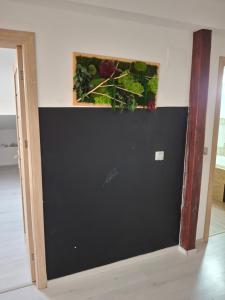 Apartament Parc Romanescu 4 locuri-2 familii