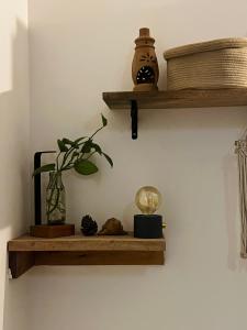 Bayou Homestay and backwaters