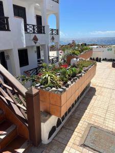 Panorama Océan Montaña Amarilla Costa del Silencio