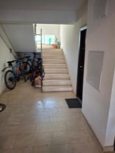 Apartament Parc Romanescu 4 locuri-2 familii