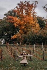 Sen i Wino, domki na winnicy ze strefą SPA