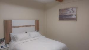 24B Louieville apartment