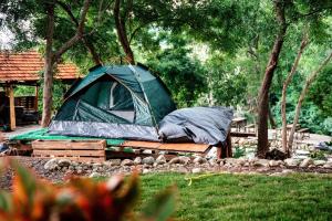 Hill Top Haven Homestay