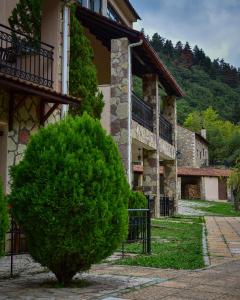 Muntenia Inn Apartments and Suites