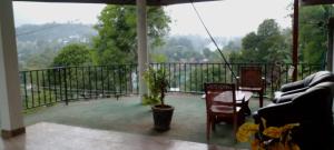 Mountain Top Guest