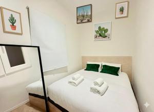 Retiro Residence Cactus